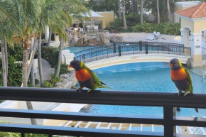 Perfect Apartment 2bd & 2Bth